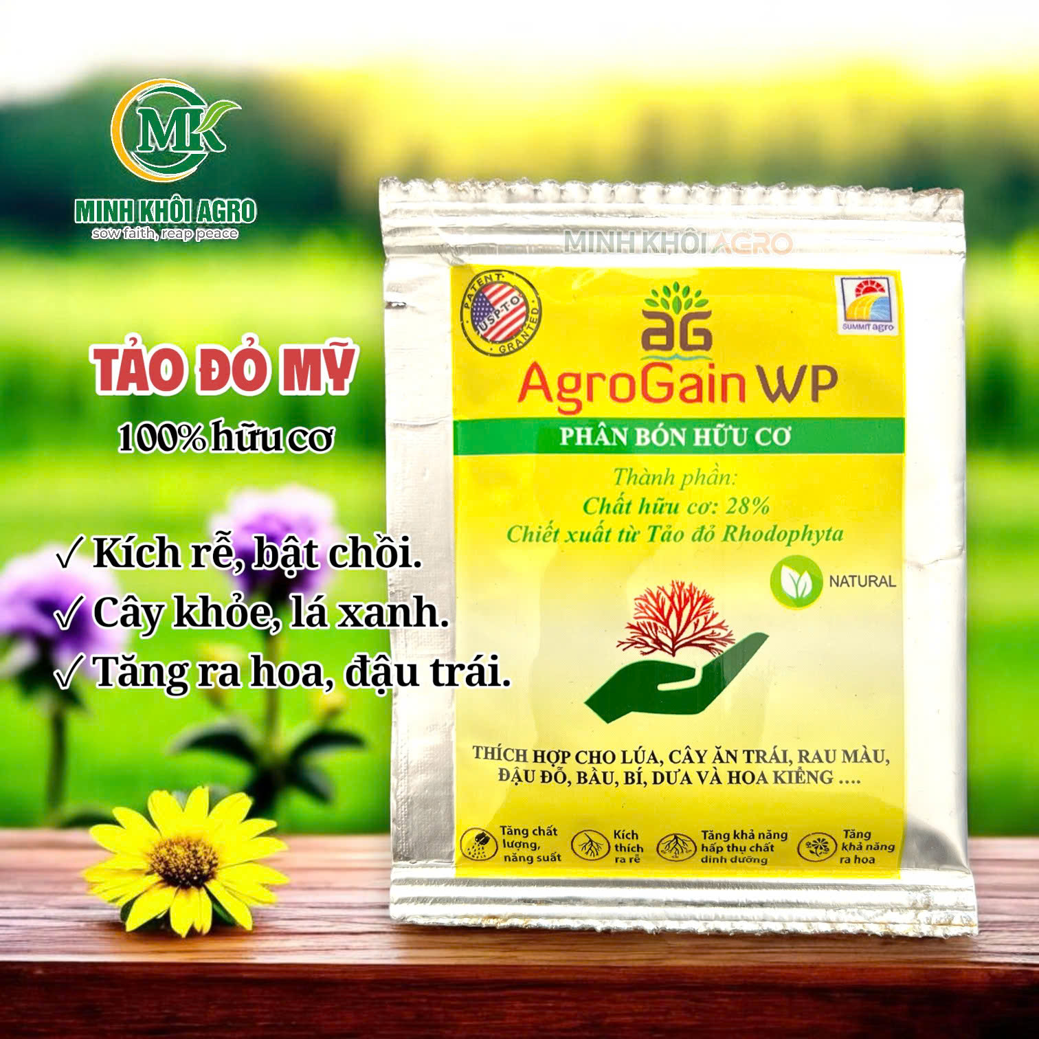 Phân bón hữu cơ AgroGain - Gói 6g